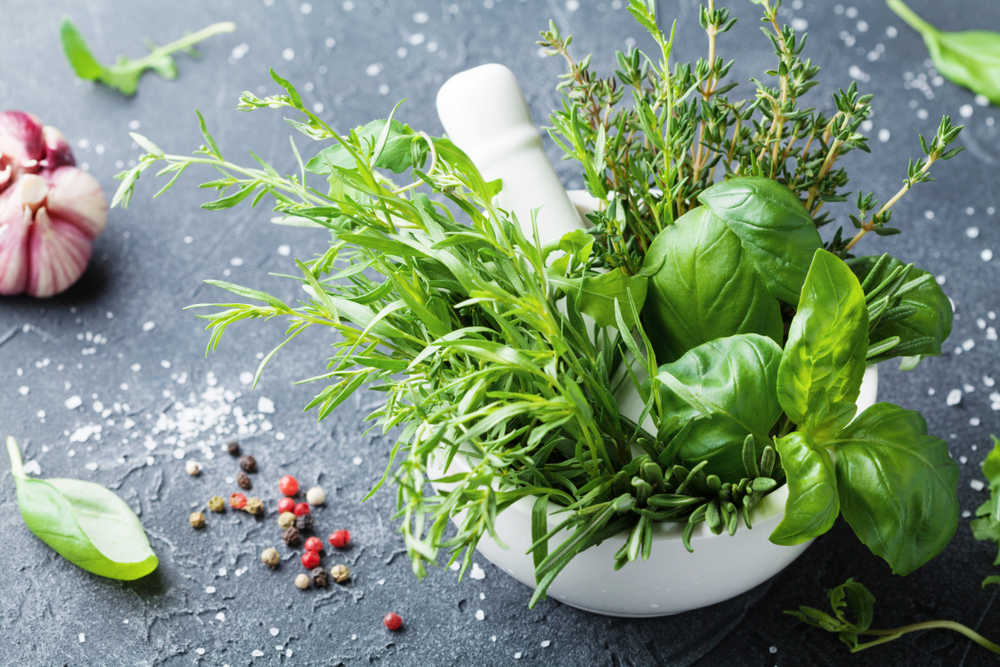 9 Impressive Herbs For Liver Health | Healthy Wellbeing