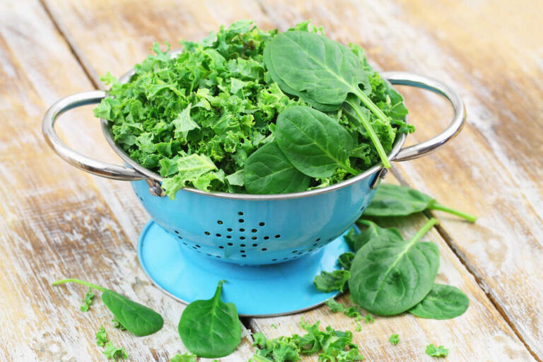 Spinach VS Kale What Is The Healthier Option? Healthy Wellbeing