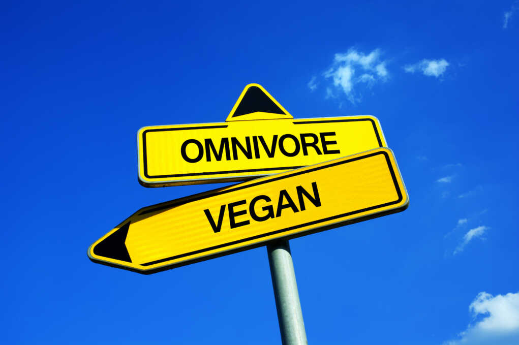 Comparing Vegan And Omnivore Diets Impacts On Cardiovascular Health Healthy Wellbeing 8411