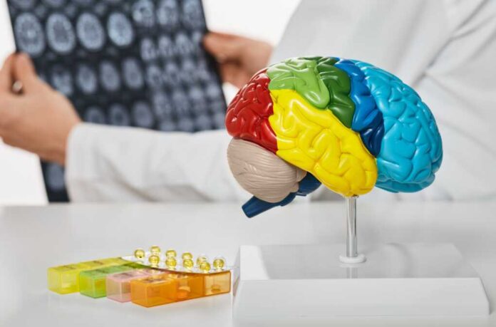 Anatomical,Model,Of,Human,Brain,On,Doctor's,Table,Over,Background