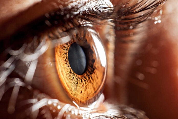 Macro,Eye